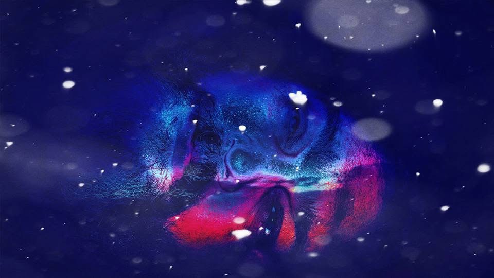 Artwork 3